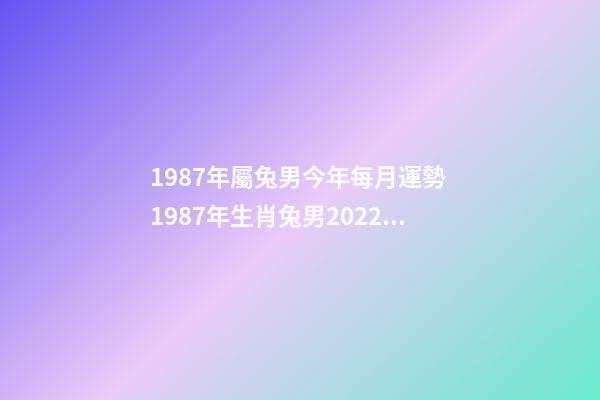1987年屬兔男今年每月運勢 1987年生肖兔男2022年運勢-第1張-觀點-玄機派